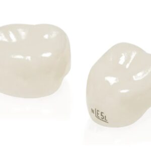 Single zirconium crown for the second primary molar