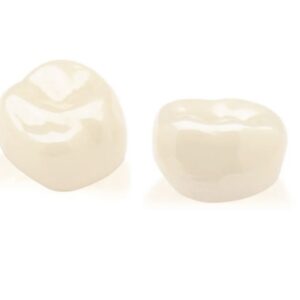 Zestaw ZR NuSmile na zęby stałe trzonowe - szóstki