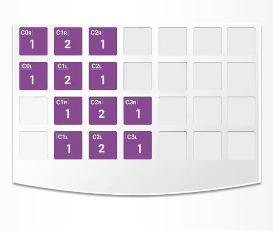 Zestaw ZR NuSmile na kły mleczne