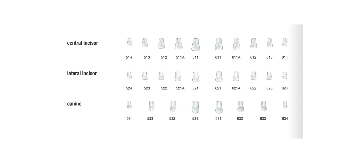 Zestaw kształtek celuloidowych do odbudowy zębów przednich - 84 kształtki