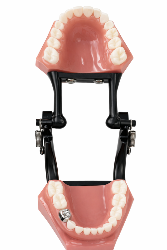 Model pokazowy koron NuSmile