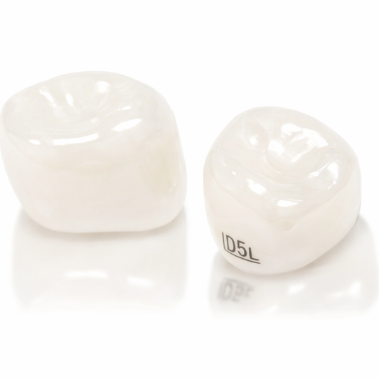 Zestaw ZR NuSmile na pierwszy trzonowiec mleczny – czwórki mleczne