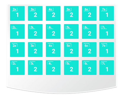 ZR NuSmile rinkinys nuolatiniams krūminiams dantims - šešiakampiai