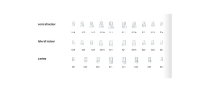 Zestaw kształtek celuloidowych do odbudowy zębów przednich - 84 kształtki