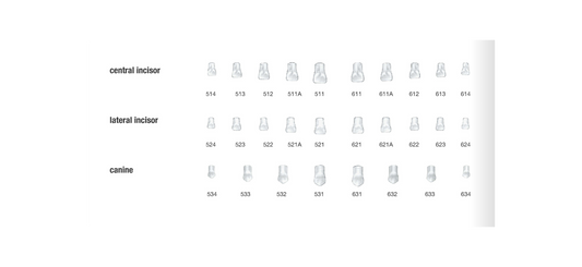 Zestaw kształtek celuloidowych do odbudowy zębów przednich - 84 kształtki
